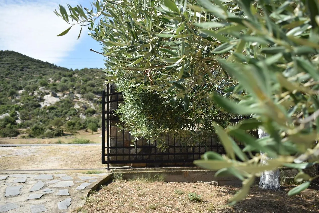 Athena'S Apartments & Studios Sykia Chalkidikis