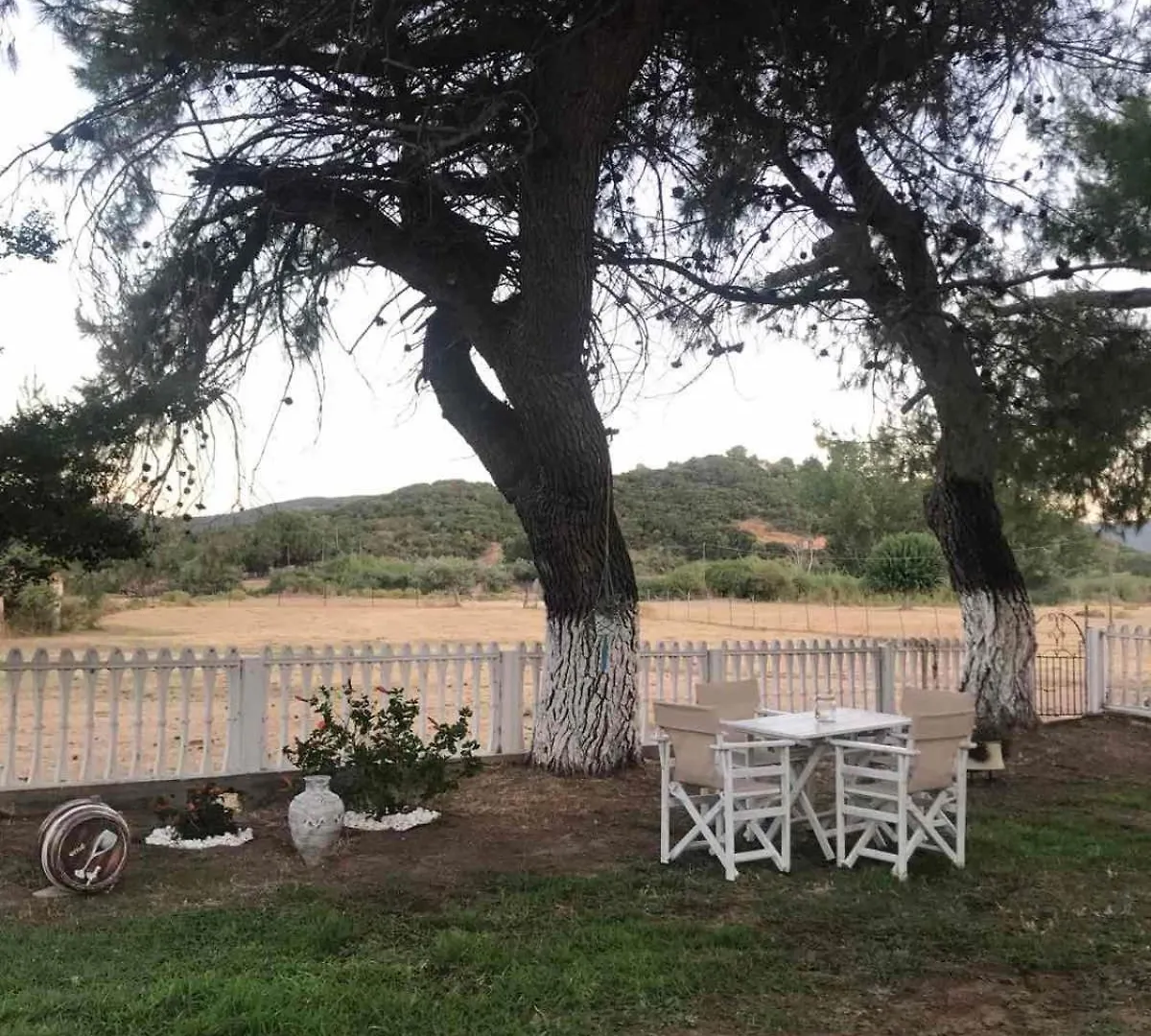 Athena'S Apartments & Studios Sykia Chalkidikis 0*,